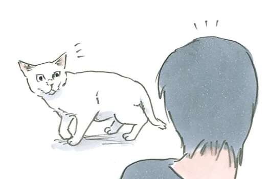 猫が「自分から甘えにくる」という飼い主のワザ。なんてかわいい...！／拾い猫のモチャ6