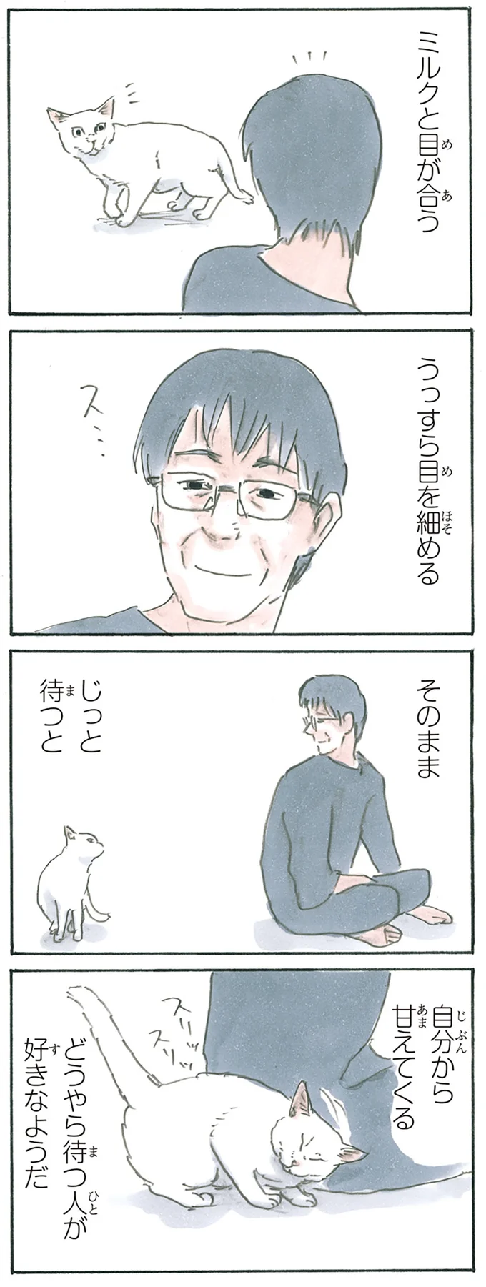 『拾い猫のモチャ1～8』 13275321.webp