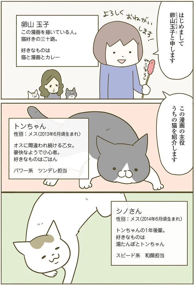 『うちの猫がまた変なことしてる。』 13289685.webp