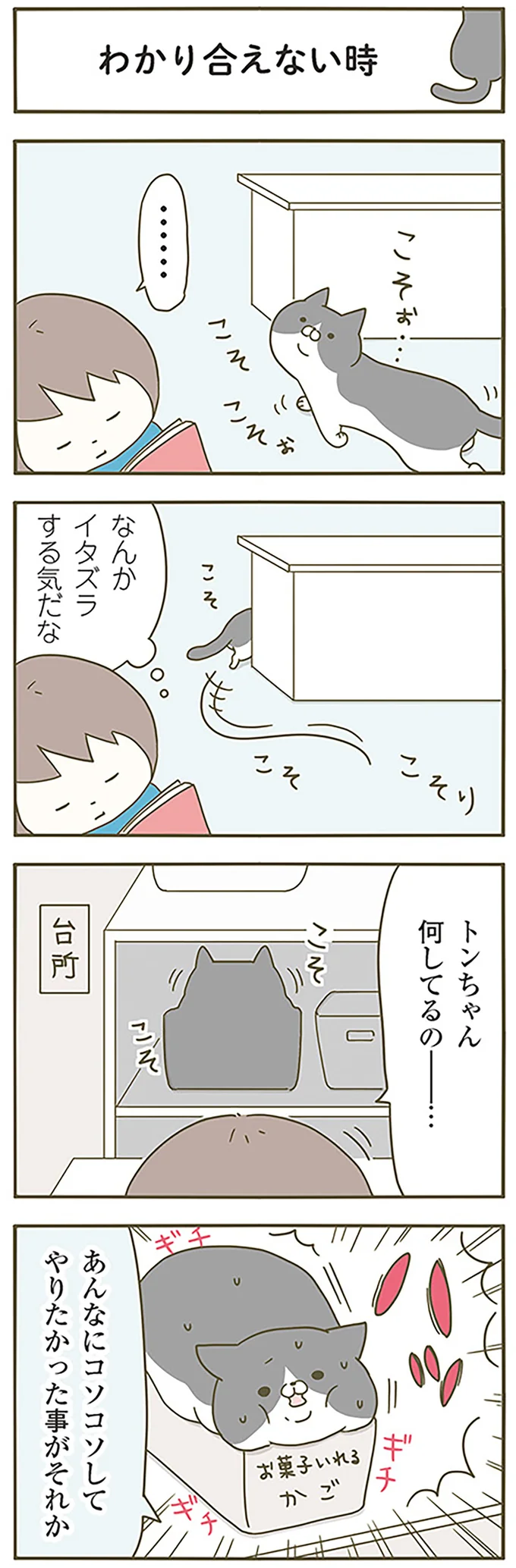 『うちの猫がまた変なことしてる。』 13289687.webp