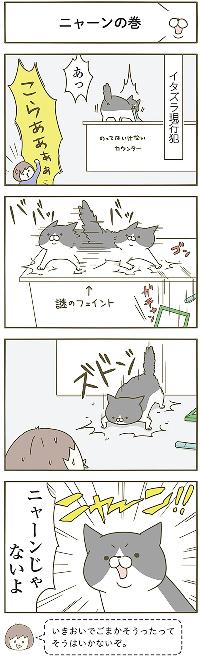 『うちの猫がまた変なことしてる。』 13289691.webp