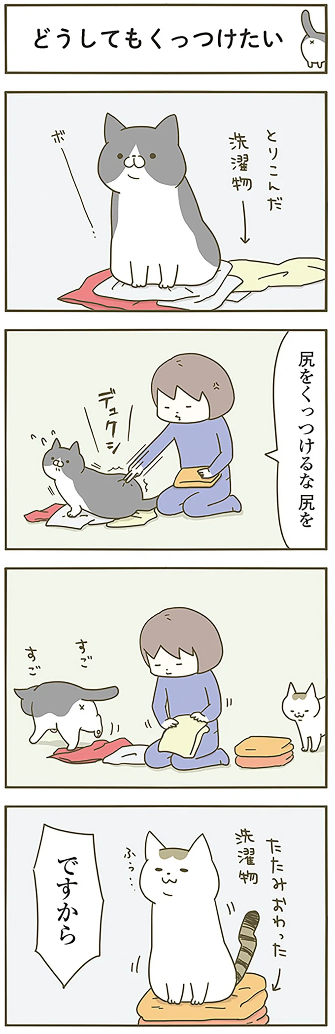 『うちの猫がまた変なことしてる。』 13289693.webp