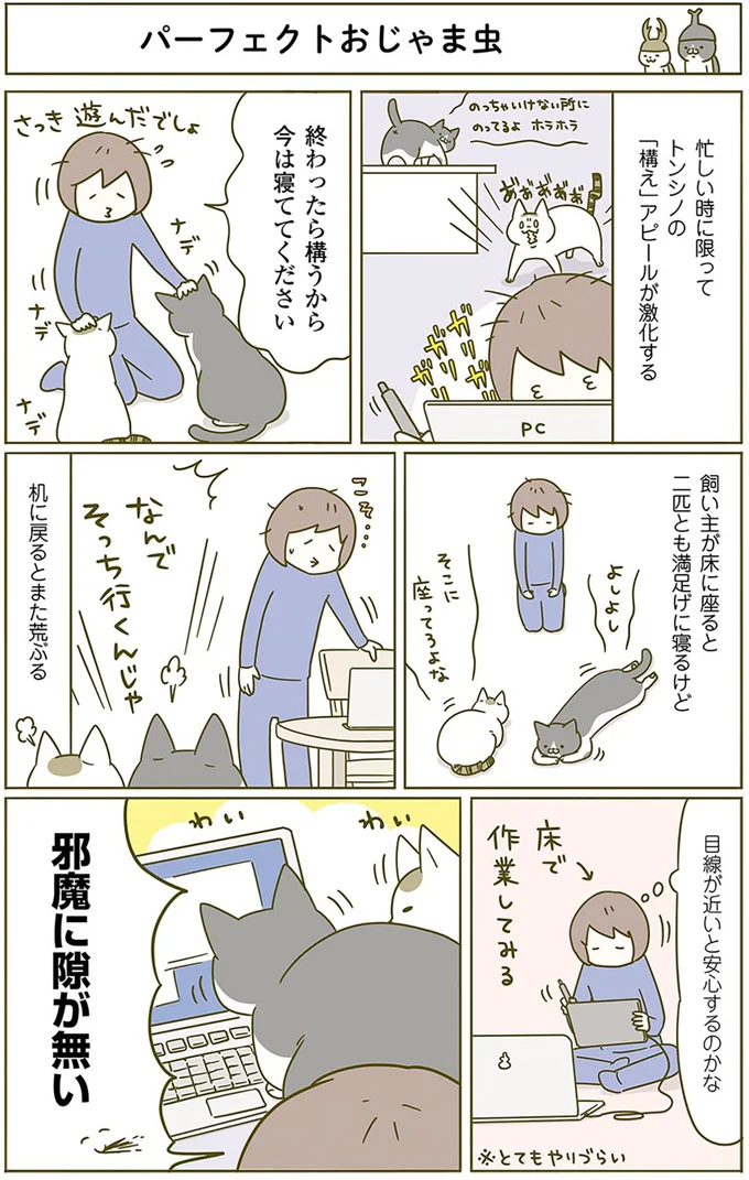 「実はへこんでる」猫がかわいそうで可愛い。飼い主にすり寄ってきて...／うちの猫がまた変なことしてる。2 13293917.webp