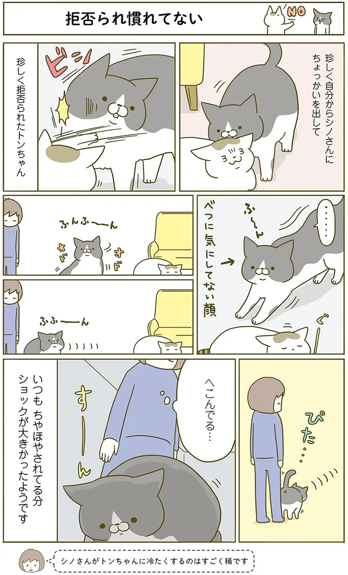 「実はへこんでる」猫がかわいそうで可愛い。飼い主にすり寄ってきて...／うちの猫がまた変なことしてる。2 13293919.webp