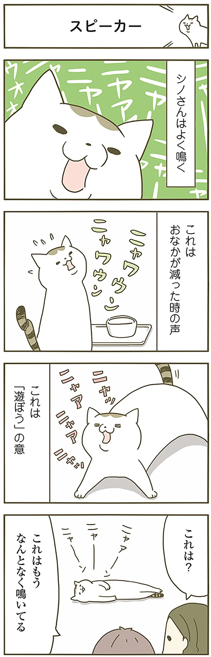 『うちの猫がまた変なことしてる。』 13299082.webp