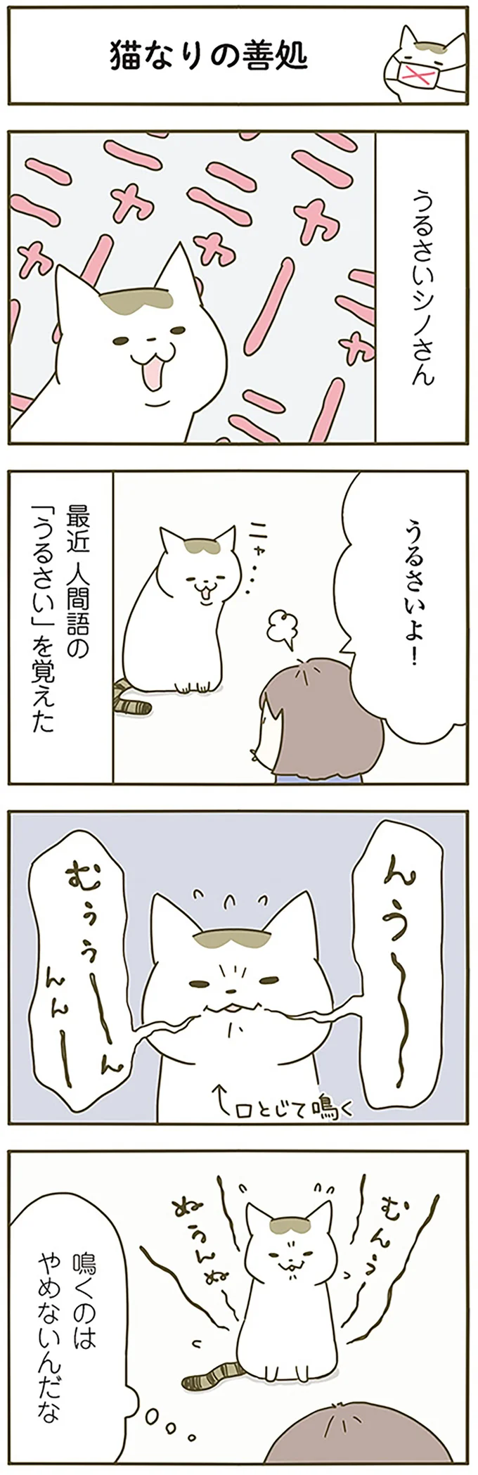 『うちの猫がまた変なことしてる。』 13299084.webp