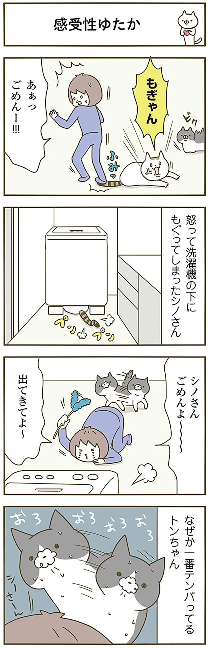 『うちの猫がまた変なことしてる。』 13299085.webp