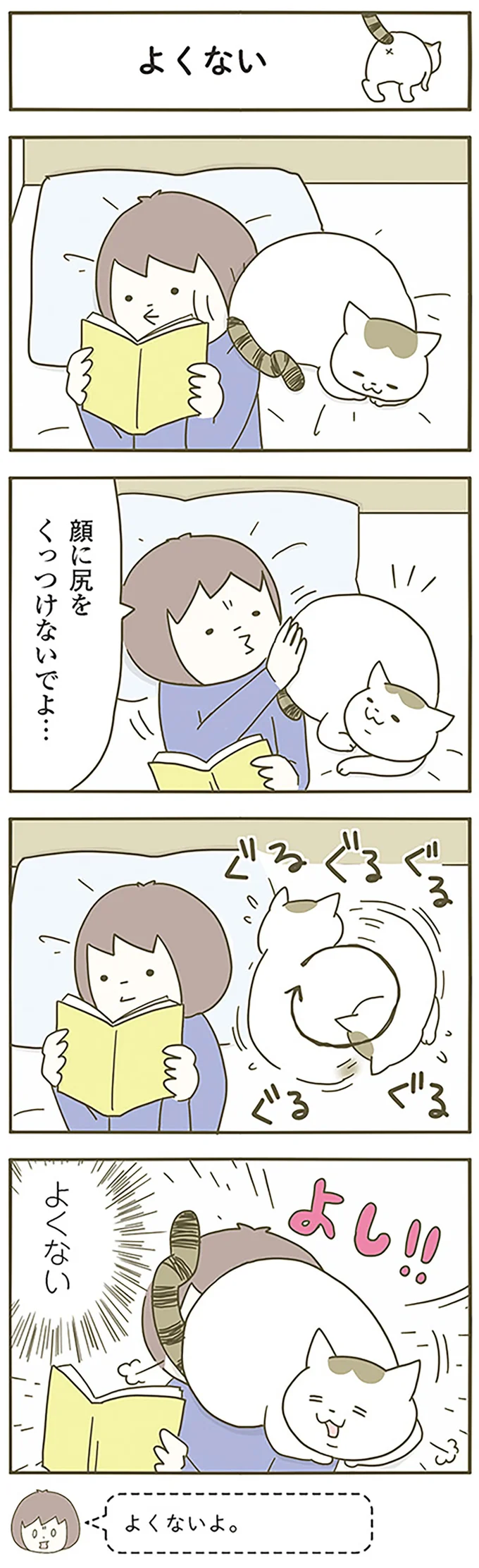 『うちの猫がまた変なことしてる。』 13299087.webp