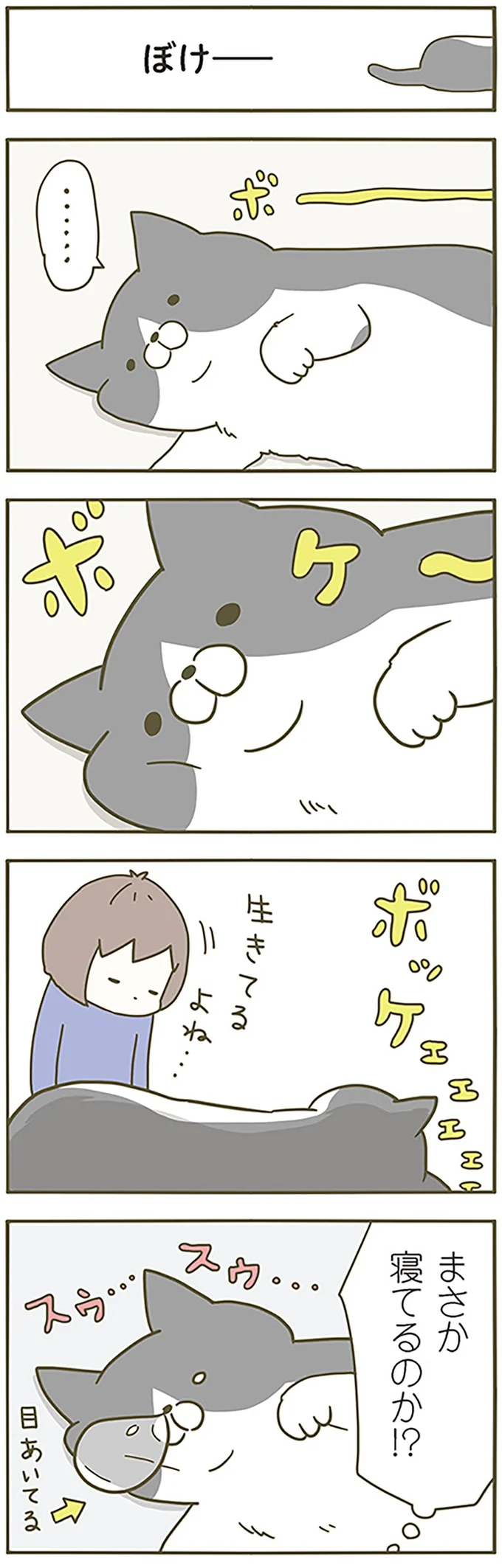 『うちの猫がまた変なことしてる。』 13299093.webp