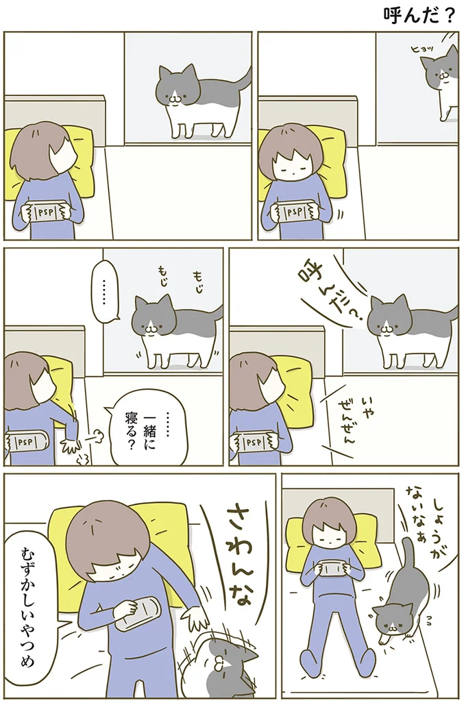 『うちの猫がまた変なことしてる。』 13299096.webp