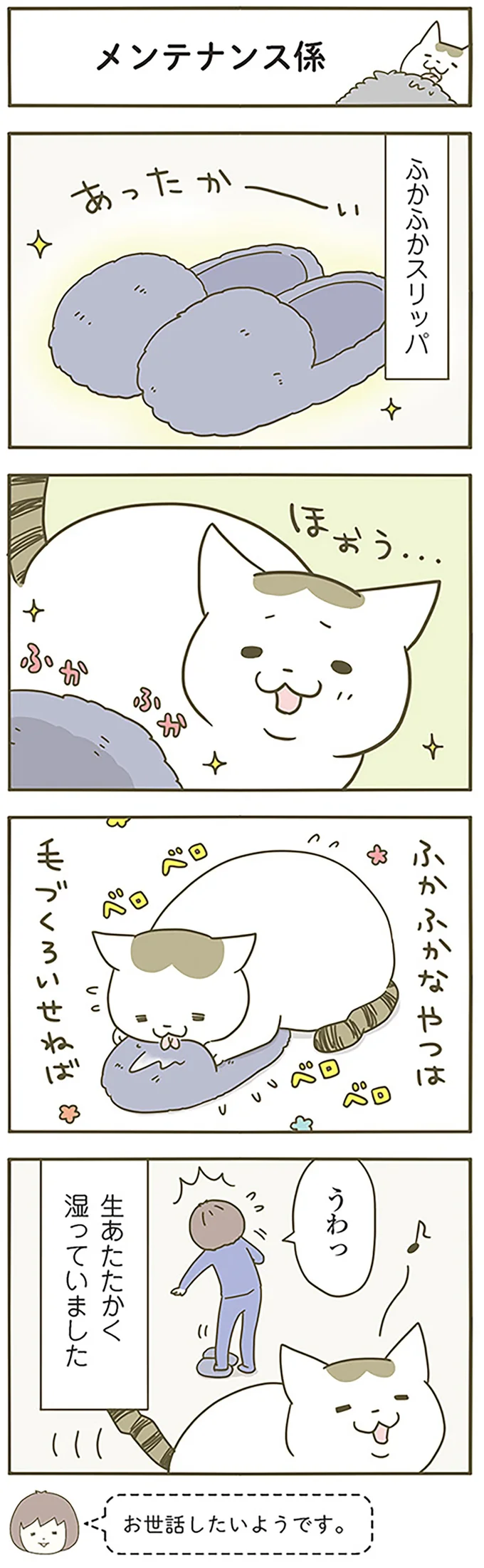 『うちの猫がまた変なことしてる。』 13299103.webp