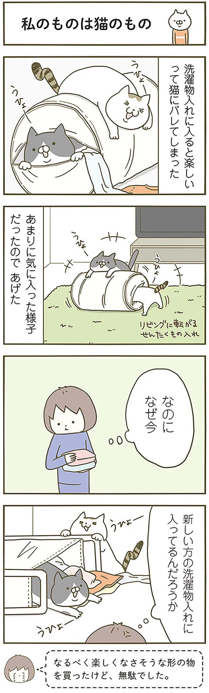 『うちの猫がまた変なことしてる。』 13299107.webp