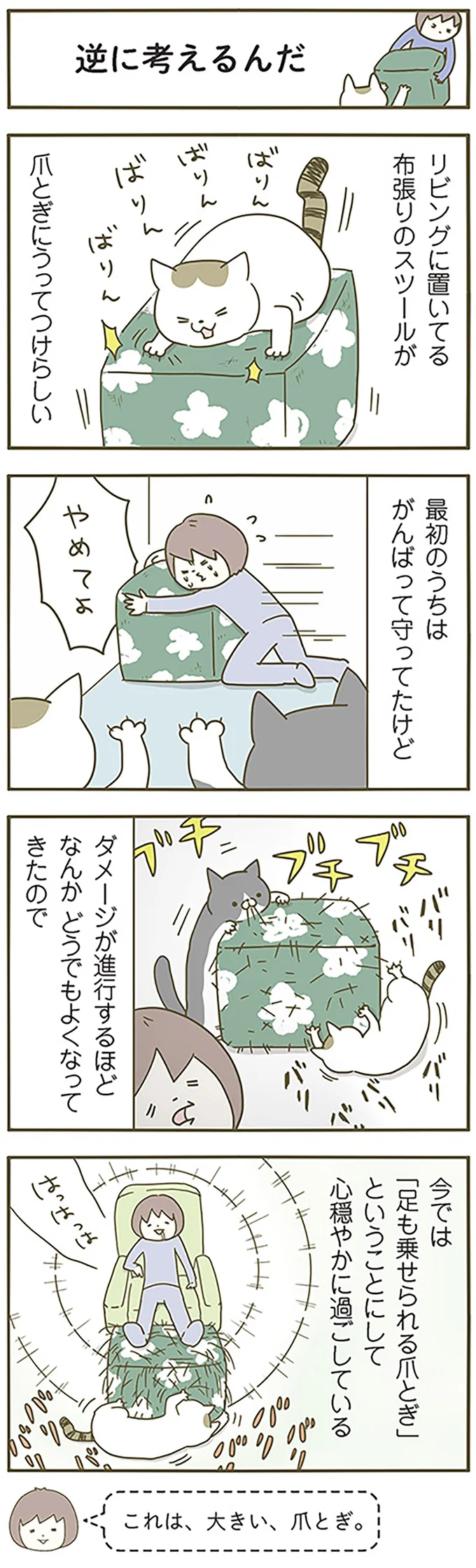 『うちの猫がまた変なことしてる。』 13299109.webp