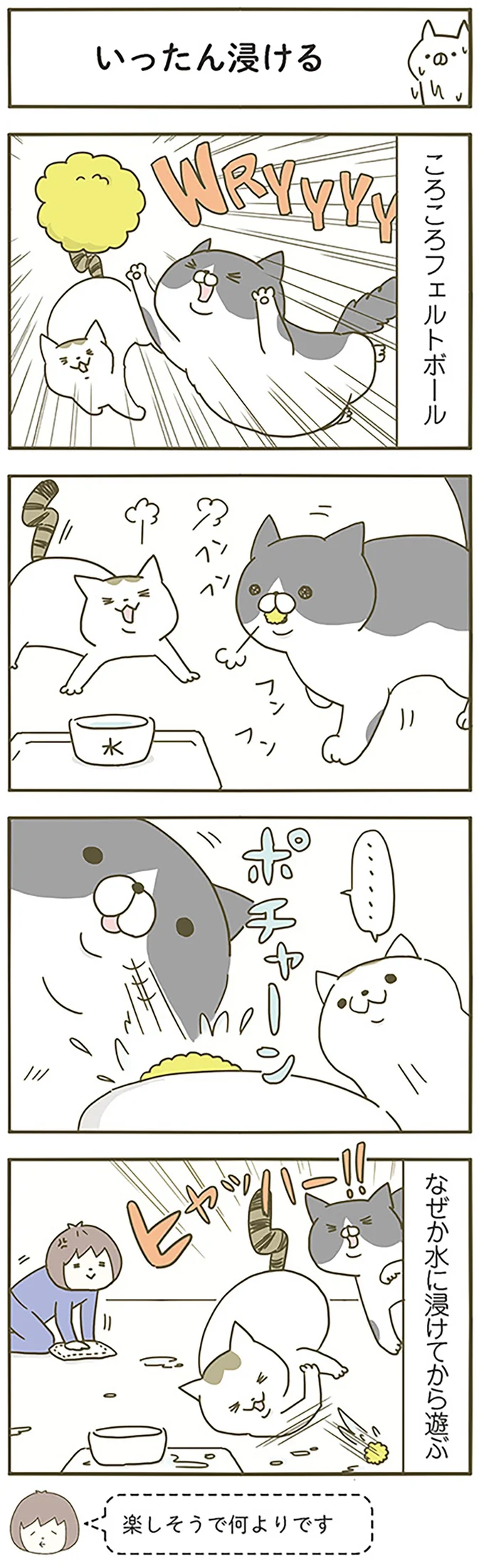 『うちの猫がまた変なことしてる。』 13299115.webp