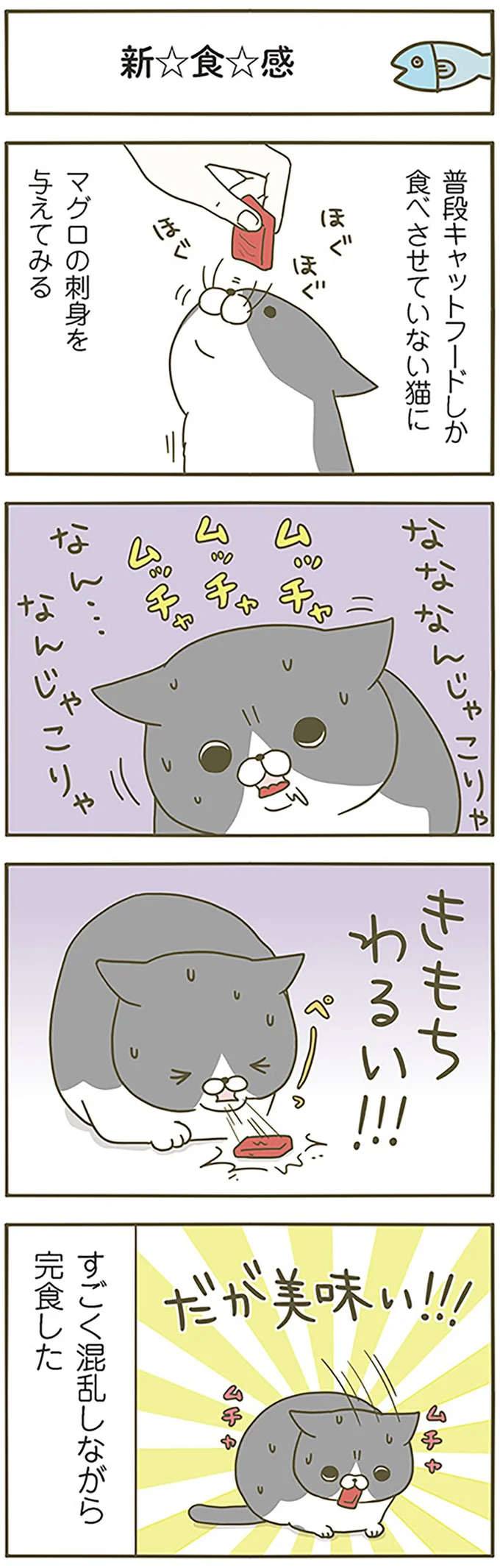 『うちの猫がまた変なことしてる。』 13299134.webp