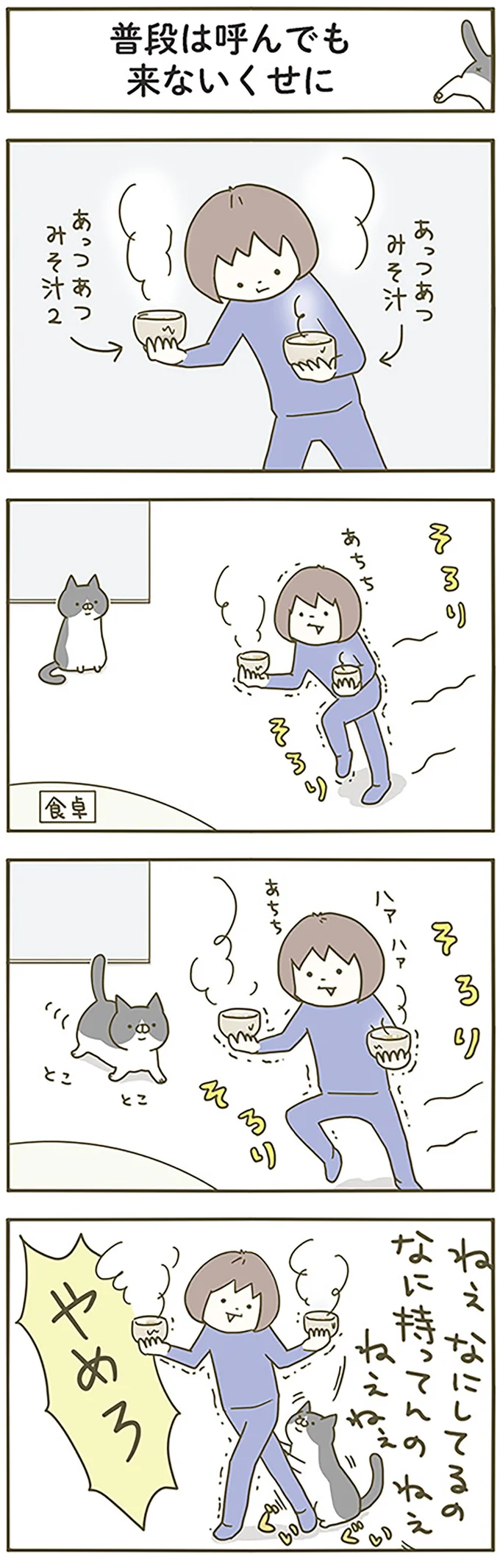 猫は「こんな時に限って」すり寄ってくる。なぜなのか／うちの猫がまた変なことしてる。 13299138.webp