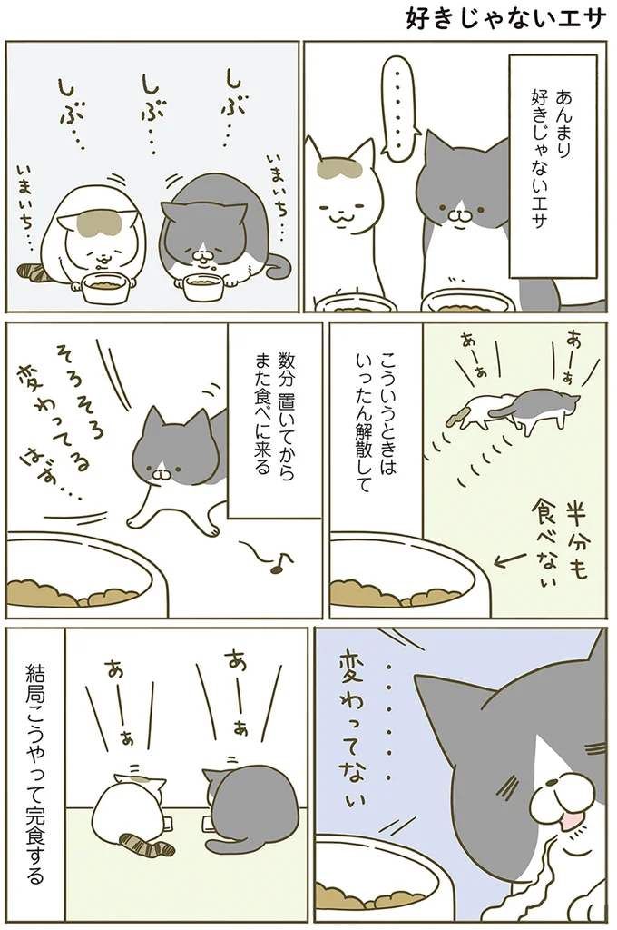 『うちの猫がまた変なことしてる。』 13299173.webp