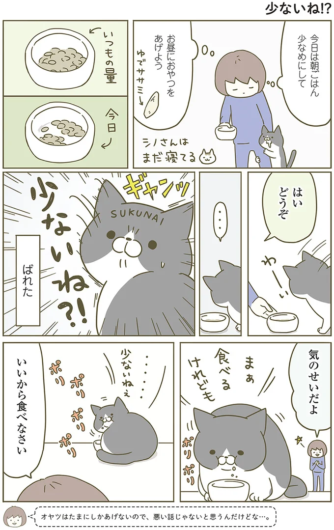 『うちの猫がまた変なことしてる。』 13299176.webp