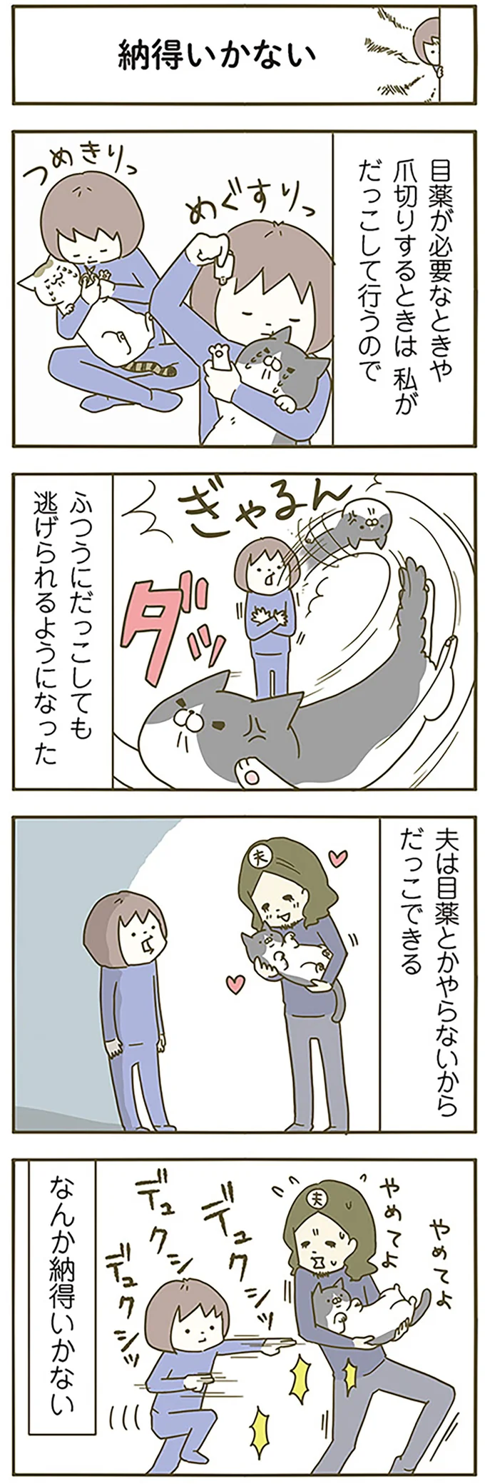 『うちの猫がまた変なことしてる。』 13299192.webp