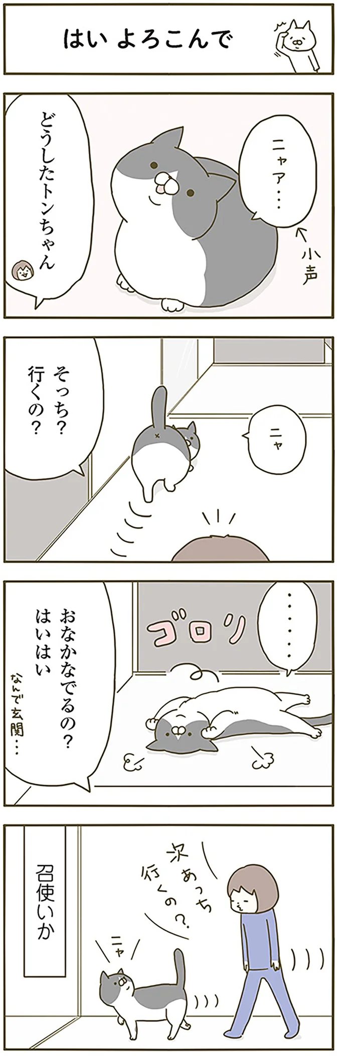 『うちの猫がまた変なことしてる。』 13299193.webp