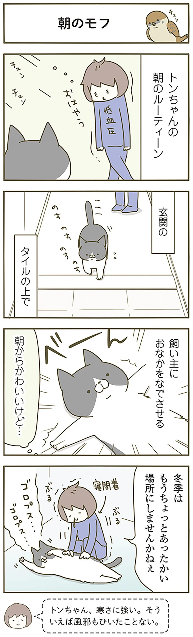 『うちの猫がまた変なことしてる。』 13299196.webp