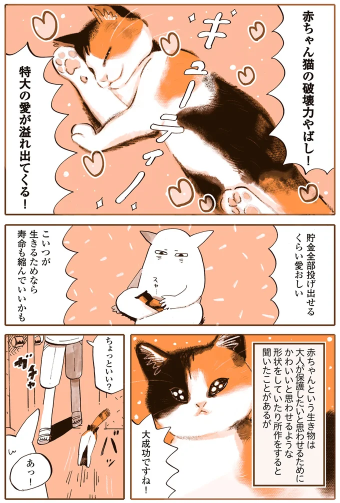 「赤ちゃん猫の破壊力やばし」あまりにかわいい子猫の行動。ただ先住猫との相性は／うちの猫は仲が悪い 13301175.webp