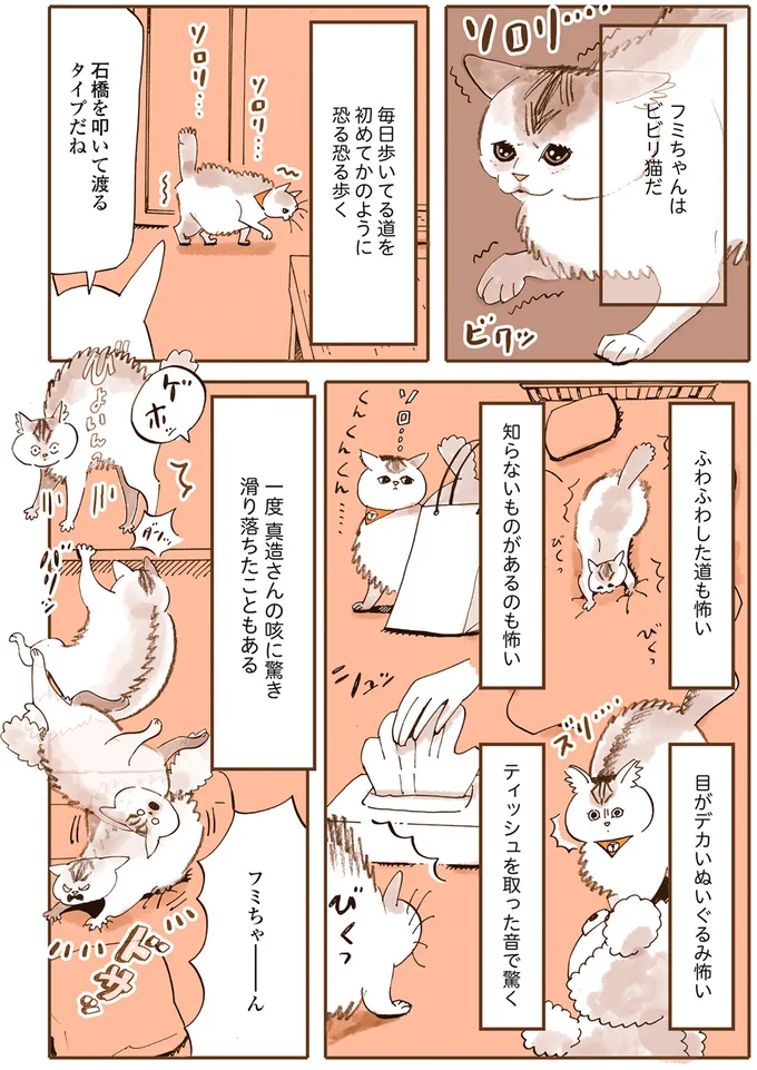 我が家の猫たちはビビリ＆怖いもの知らず。性格が真逆で仲は...／うちの猫は仲が悪い 13301182.webp