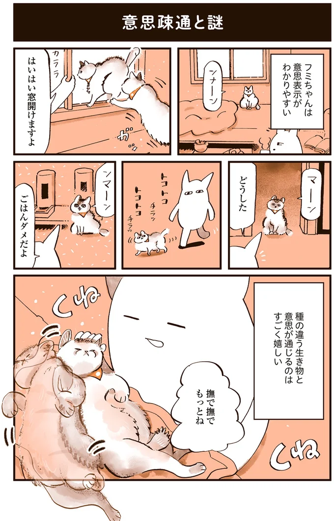 猫と気持ちが通じて幸せ...だけど、あの日の「謎の唸り声」は理解できん／うちの猫は仲が悪い 13301206.webp