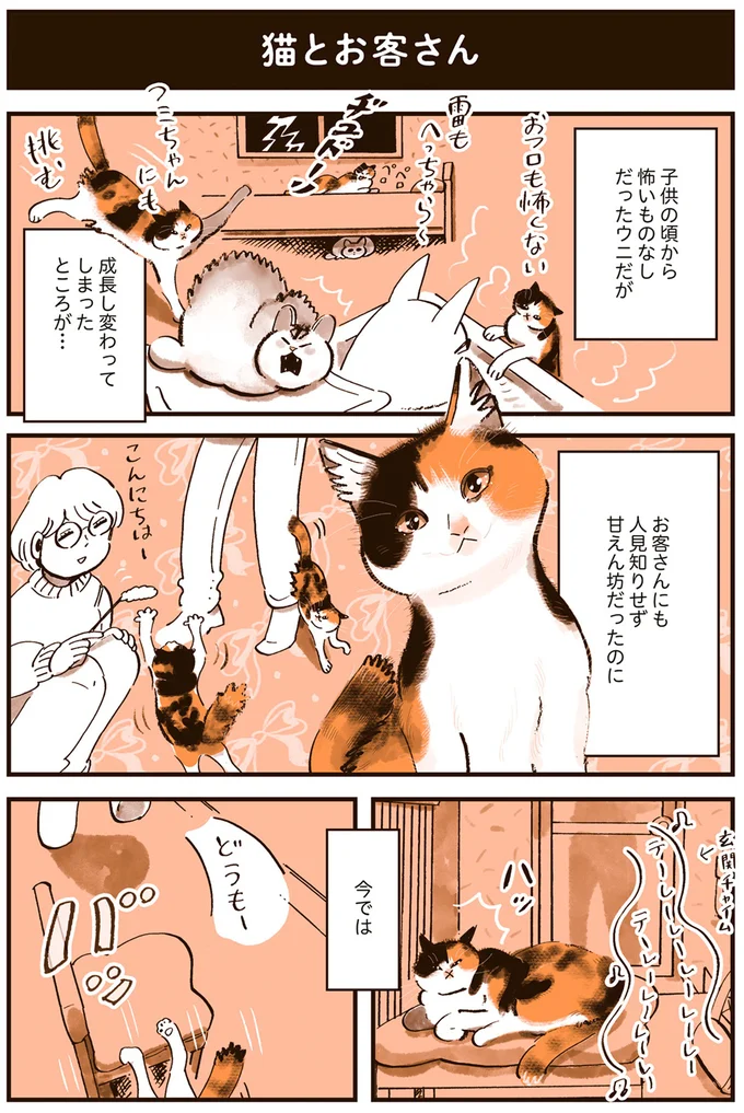 うちの猫たちのギャップの愛しさよ...来客時の対応が不思議／うちの猫は仲が悪い 13301212.webp