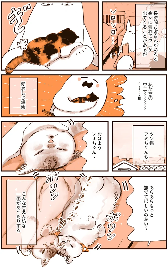 うちの猫たちのギャップの愛しさよ...来客時の対応が不思議／うちの猫は仲が悪い 13301216.webp