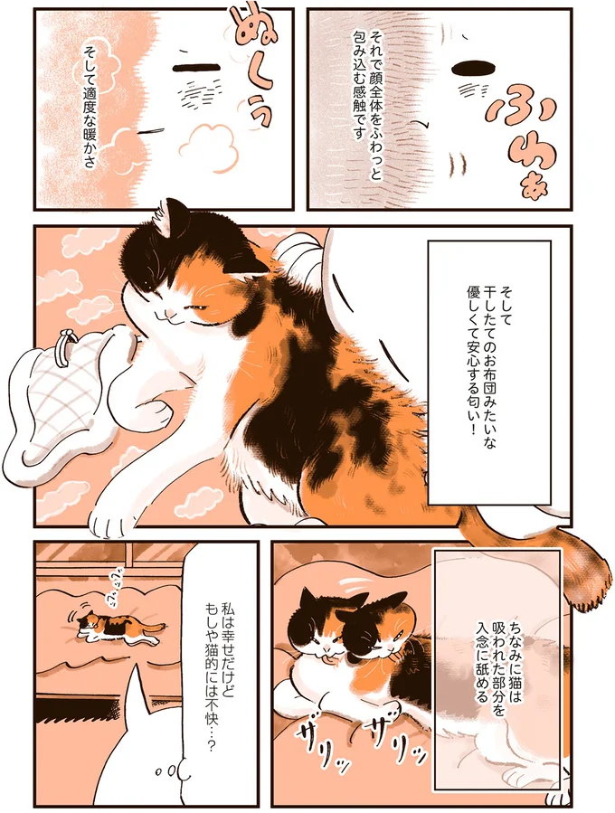 猫って気まぐれ「自分からはいいけどそっちから来るのはダメ」なのはなぜ!?／うちの猫は仲が悪い 13301223.webp