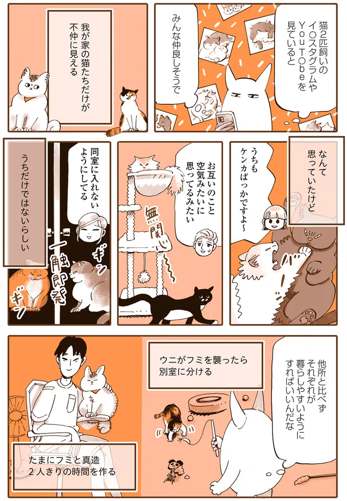 我が家の猫たちはビビリ＆怖いもの知らず。性格が真逆で仲は...／うちの猫は仲が悪い 13303845.webp