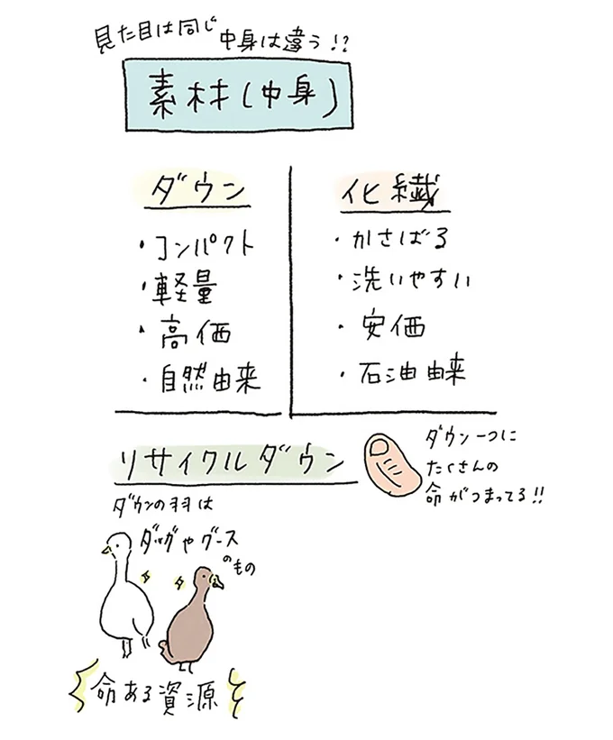 ポイントは「収納性と快適性」キャンプの必須アイテム選びは慎重に／ゆるっと始める キャンプ読本 13307525.webp