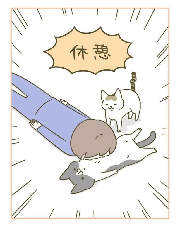 『うちの猫がまた変なことしてる。』 13308847.webp