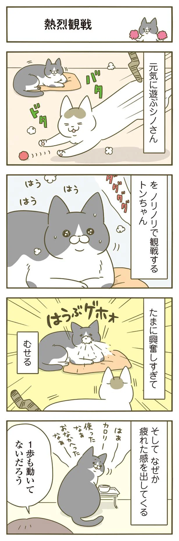 愛猫が毛づくろい中、急にハッ！ どうしたかと思ったら...／うちの猫がまた変なことしてる。4 13309590.webp