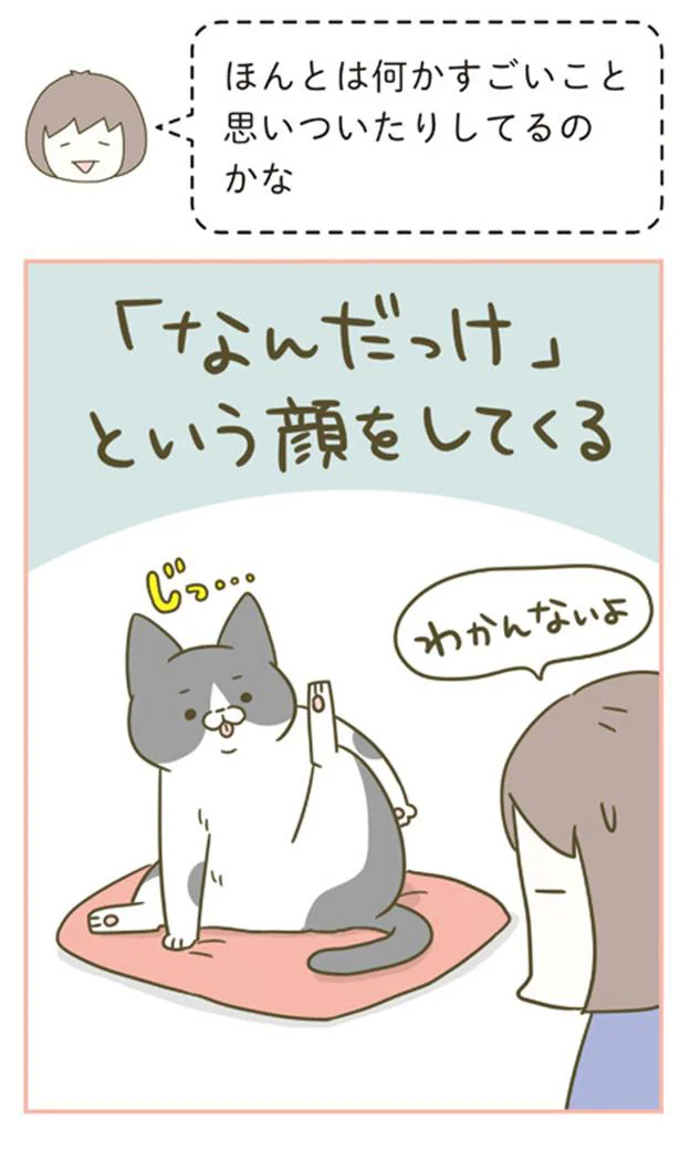 愛猫が毛づくろい中、急にハッ！ どうしたかと思ったら...／うちの猫がまた変なことしてる。4 13309594.webp