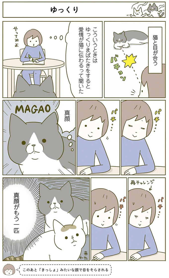 あわあわあわ...猫たちは掃除機が嫌い。なぜ「そう逃げる」のか／うちの猫がまた変なことしてる。2 13312106.webp