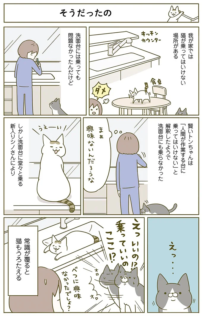 あわあわあわ...猫たちは掃除機が嫌い。なぜ「そう逃げる」のか／うちの猫がまた変なことしてる。2 13312108.webp