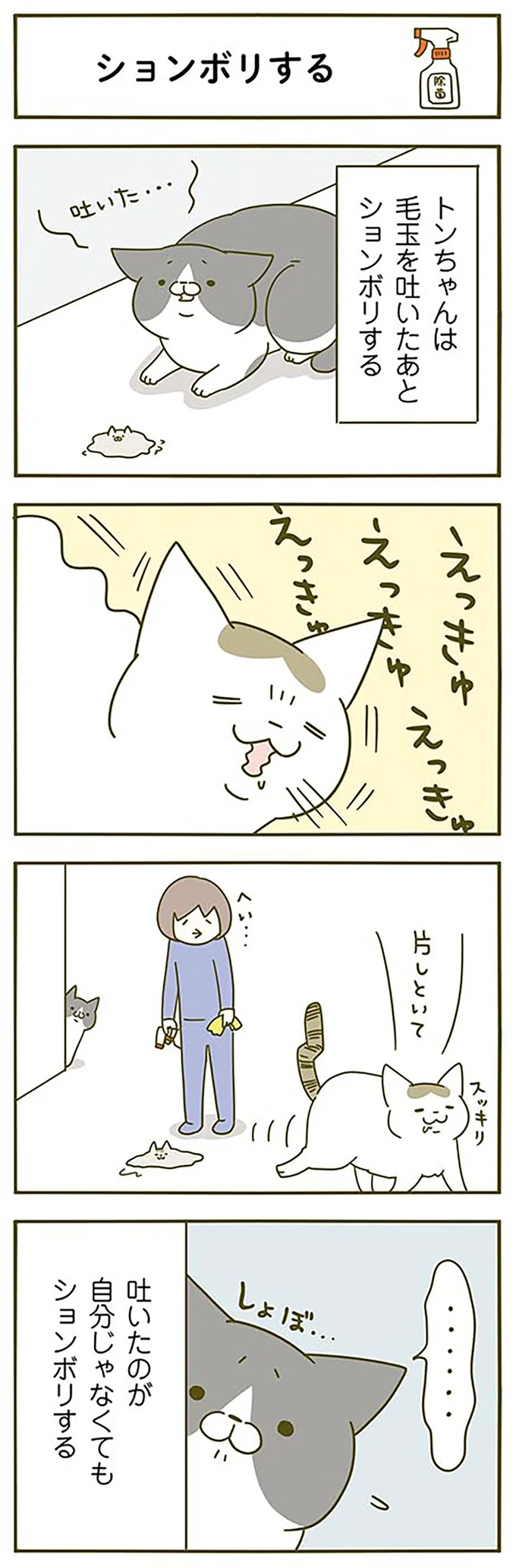 『うちの猫がまた変なことしてる。』 13312121.webp