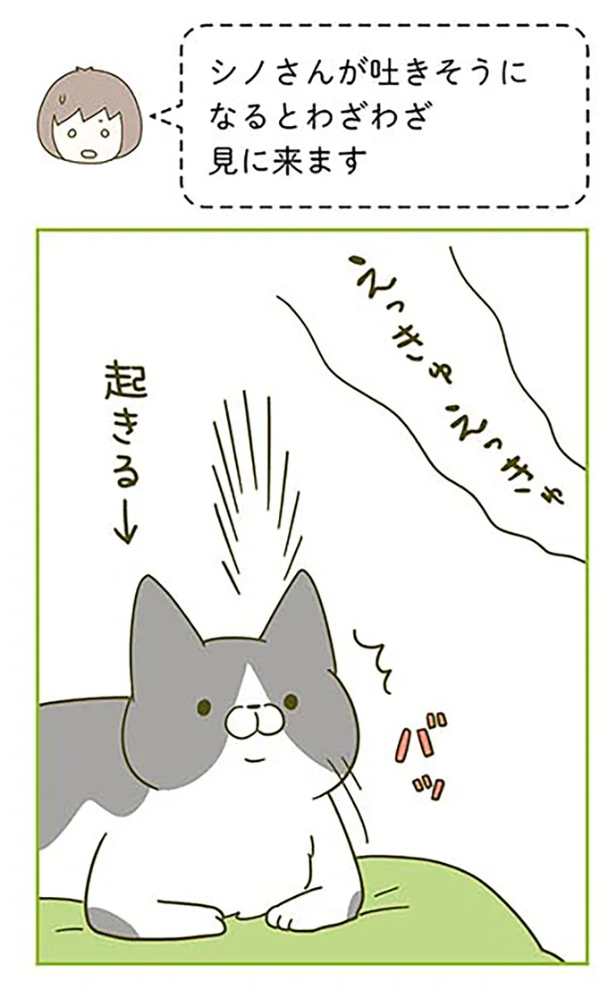 ゾッ...うちの猫は鏡を見るのが好き。その「理由」に気づいて／うちの猫がまた変なことしてる。2 13312122.webp