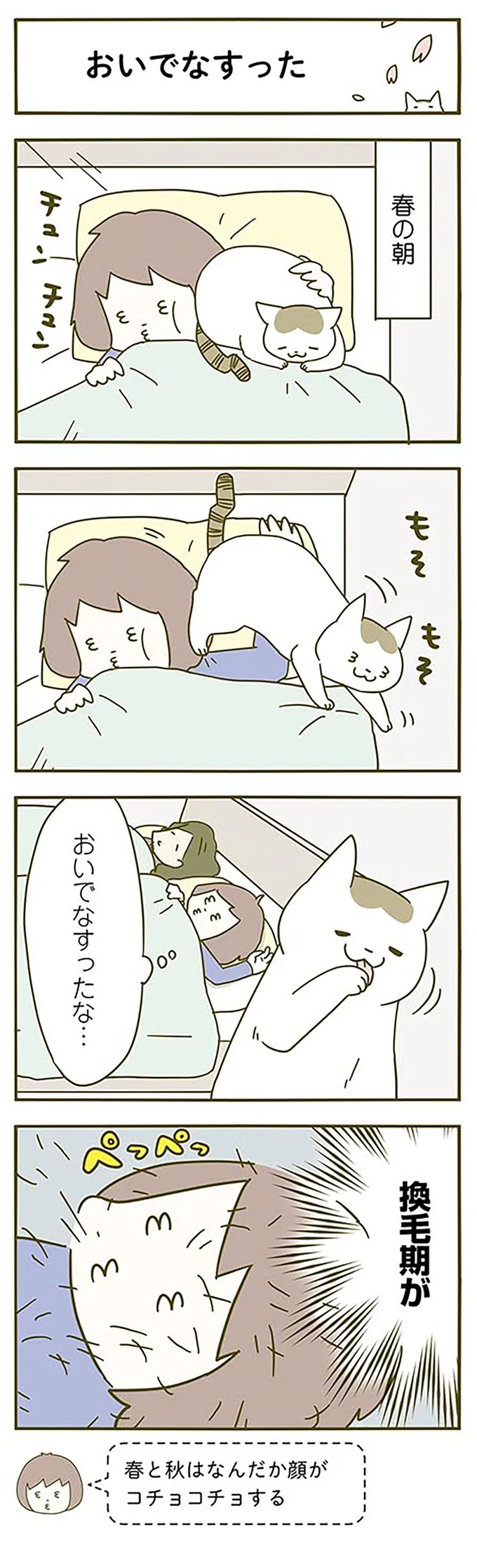 猫飼いが朝に気付いた。顔がコチョコチョする時期...「おいでなすったな」／うちの猫がまた変なことしてる。2 13312129.webp