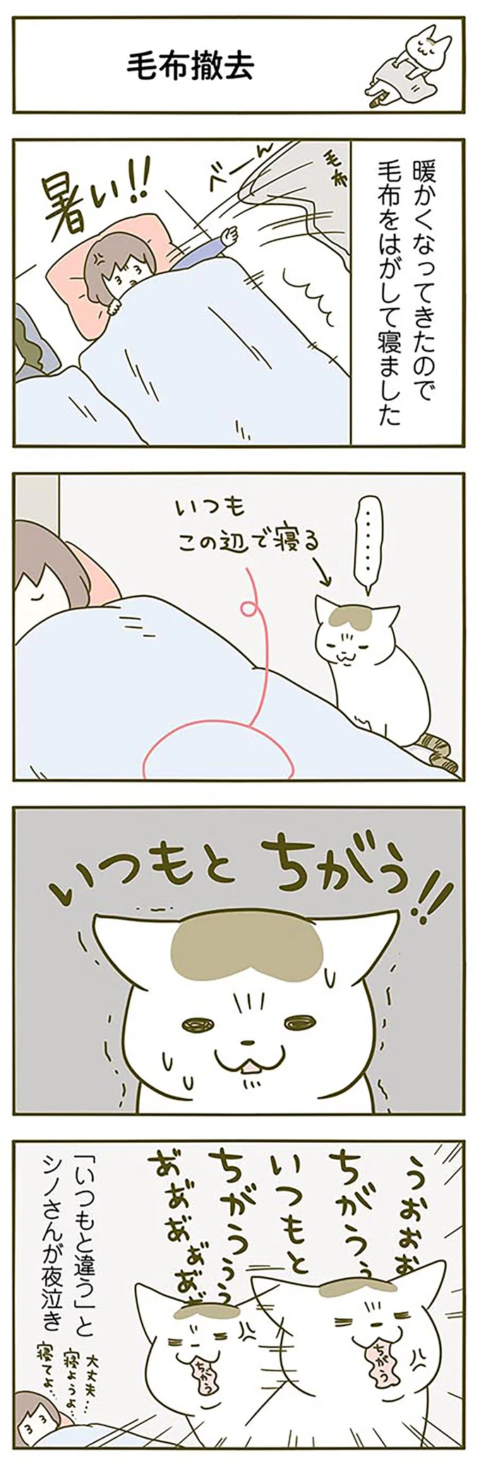 猫飼いが朝に気付いた。顔がコチョコチョする時期...「おいでなすったな」／うちの猫がまた変なことしてる。2 13312132.webp