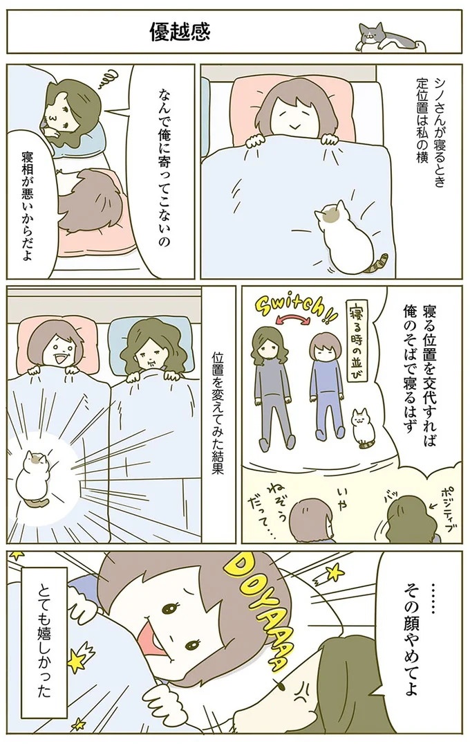 寝る時、猫の定位置は妻の横。うらやましい夫が、場所を入れ替えてもらった結果／うちの猫がまた変なことしてる。2 13312139.webp