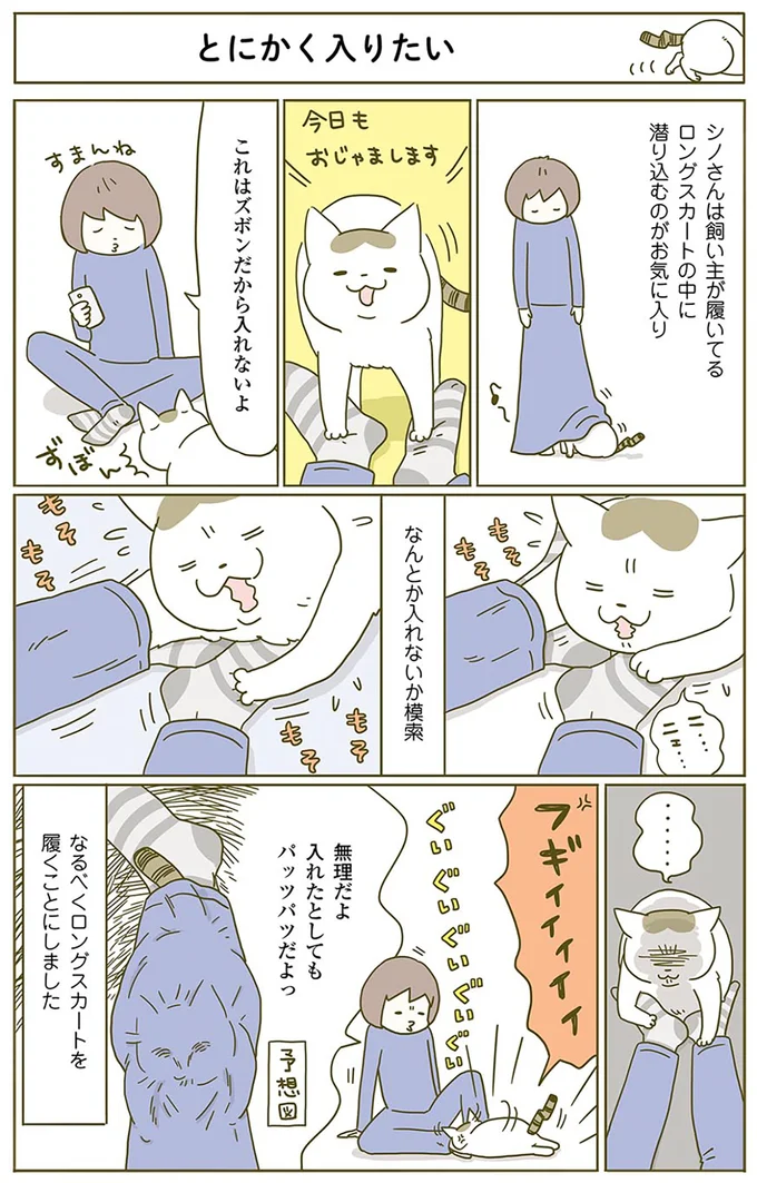 寝る時、猫の定位置は妻の横。うらやましい夫が、場所を入れ替えてもらった結果／うちの猫がまた変なことしてる。2 13312141.webp