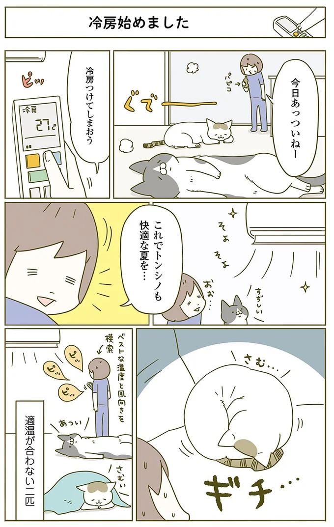 「ほんとに怖いからやめてほしい」猫の怖い話／うちの猫がまた変なことしてる。2 13312153.webp