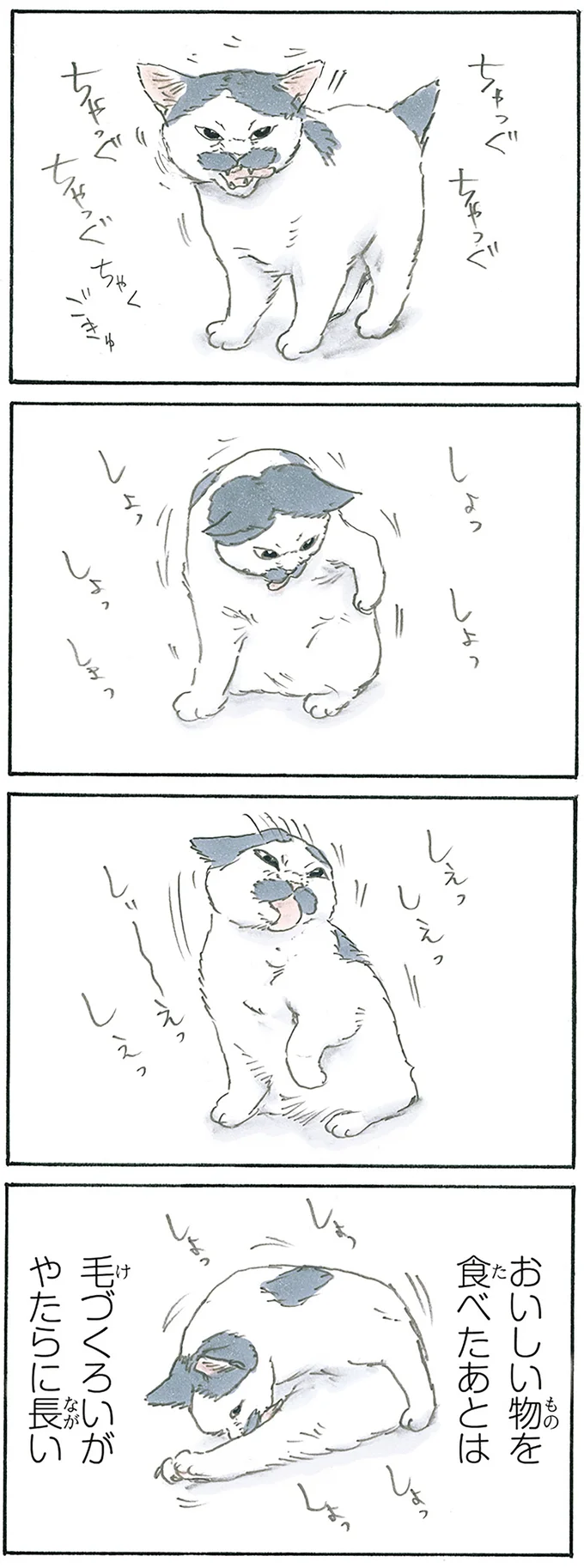 『拾い猫のモチャ1～8』 13312594.webp