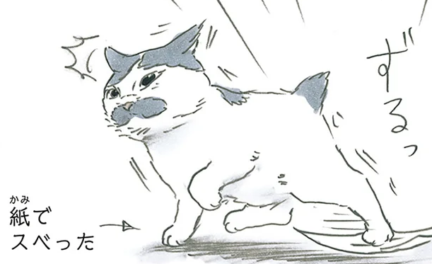 「恥ずかしがる猫」の愛らしさ。滑ったところを飼い主に目撃され...／拾い猫のモチャ7