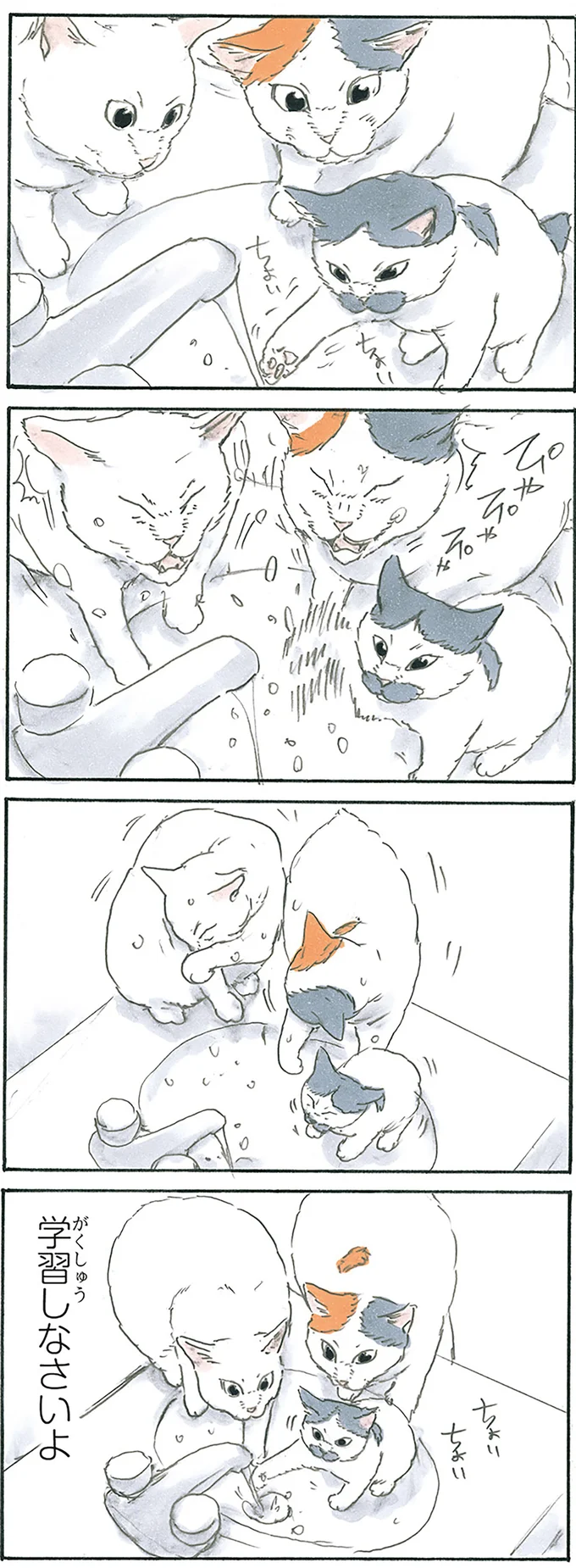『拾い猫のモチャ1～8』 13312639.webp