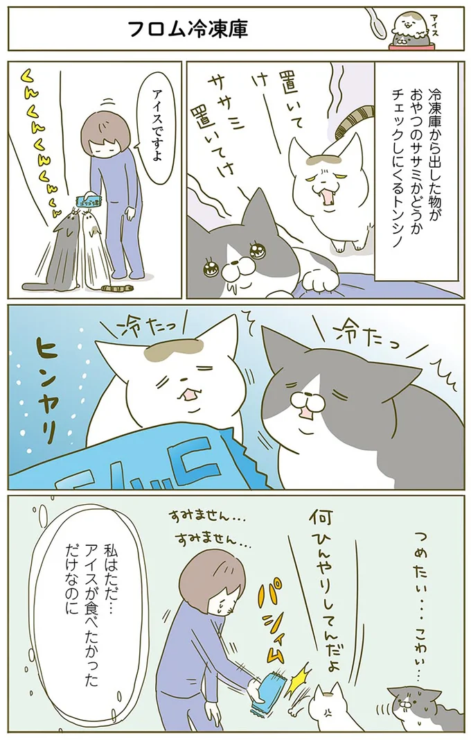 『うちの猫がまた変なことしてる。』 13312647.webp