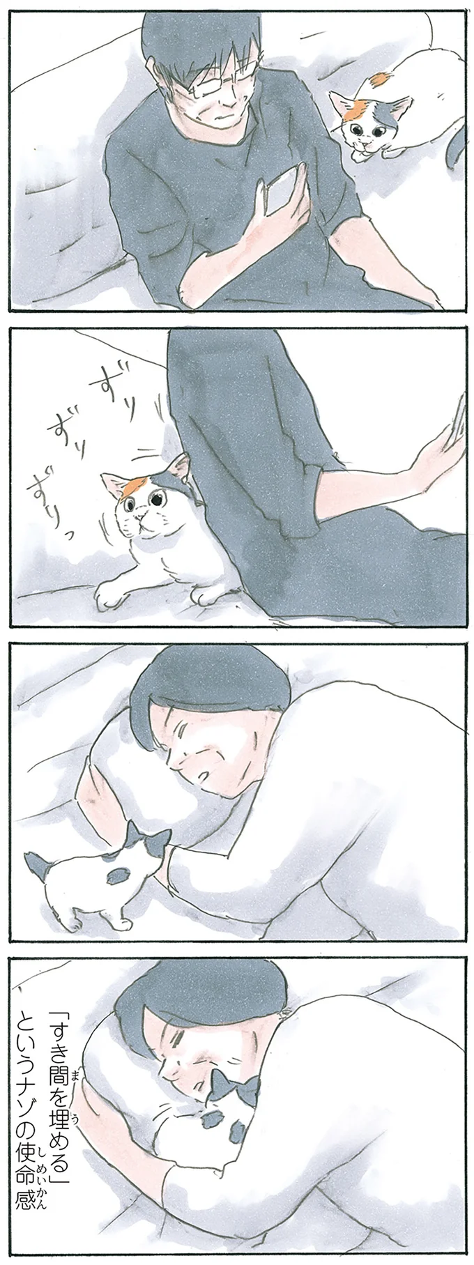 『拾い猫のモチャ1～8』 13312664.webp